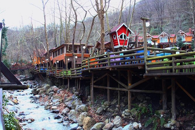 Full-Day Tour in Maşukiye and Sapanca with Pick Up - Pickup and the transfer day: what to expect before you even reach Maşukiye