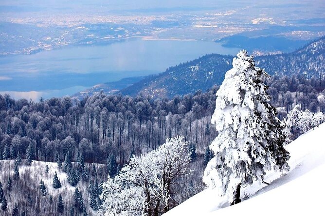 Full-Day Tour in Maşukiye and Sapanca with Pick Up - Maşukiye Selale (about 4 hours): waterfalls, stroll time, and fish restaurants