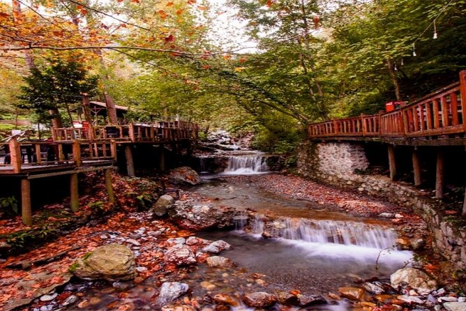 Full-Day Tour in Maşukiye and Sapanca with Pick Up - Price and logistics: is $104.11 good value for a 9-hour nature day?