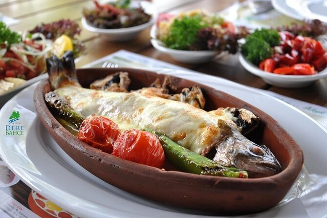 Full Day Tour in Sapanca from Istanbul - Darica Zoo (Summer) or Lion Park Aquarium (Winter): A Seasonal Detour
