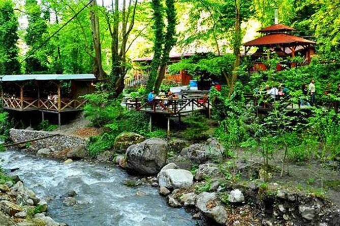 Full Day Tour in Sapanca & Masukiye from Istanbul - Pickup zones, meeting point, and the day’s pace