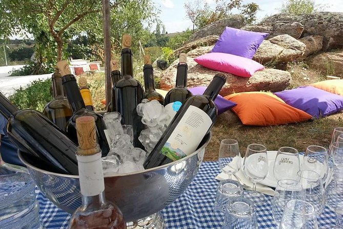 Full-Day Wine Tour from Istanbul - Why Kirklareli and the Strandja Mountains Feel Like Real Wine Country