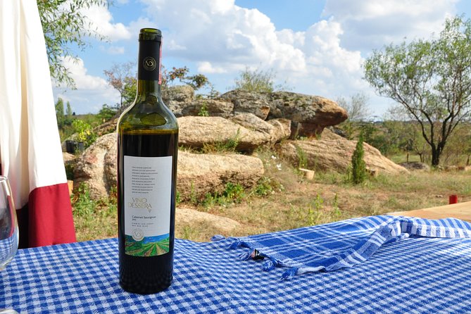Full-Day Wine Tour from Istanbul - Poyrali Village Break and Chamlija Winery’s 850m Views