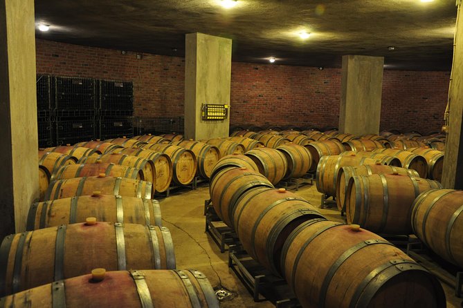 Full-Day Wine Tour from Istanbul - Chateau Nuzun and Organic Wines Aged in French Oak