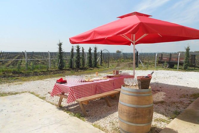 Full-Day Wine Tour from Istanbul - Vino Dessera in the Thracian Wine Corridor (and a Lunch Setup That Matters)