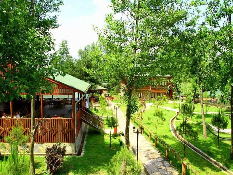 Guided Day Trip to Sapanca and Masukiye From Istanbul - Key highlights worth your attention