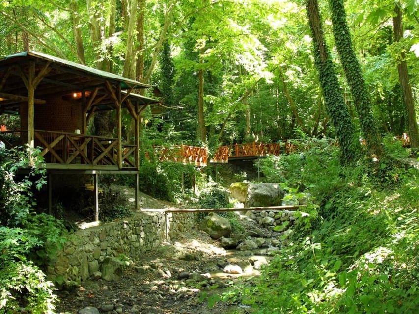 Guided Day Trip to Sapanca and Masukiye From Istanbul - Masukiye Waterfall: quick nature power after lunch