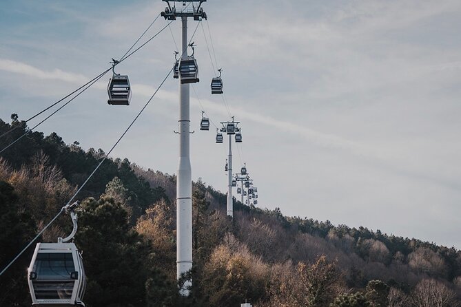 Guided Full Day Bursa Tour From Istanbul With Lunch and Cable Car - Yalova Forest Safari Stop: Fun Break, Extra Admission Possible
