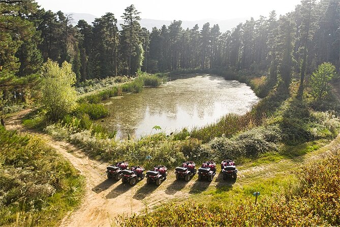 Guided Sapanca and Masukiye Full Day Tour from Istanbul - Sapanca Lake Free Time: A Slow Moment in an Otherwise Busy Day