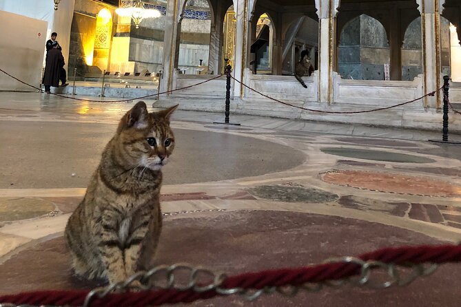 Guided Tour to Hagiasophia - The Christian-to-mosque story: why this guide approach works