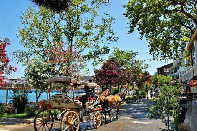 Guided VIP Princes Island Full Day Tour from Istanbul with Lunch - Meeting at Küçük Ayasofya and the ride to Unkapanı