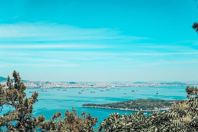 Guided VIP Princes Island Full Day Tour from Istanbul with Lunch - Büyükada: lunch, sea time, and island exploration on foot