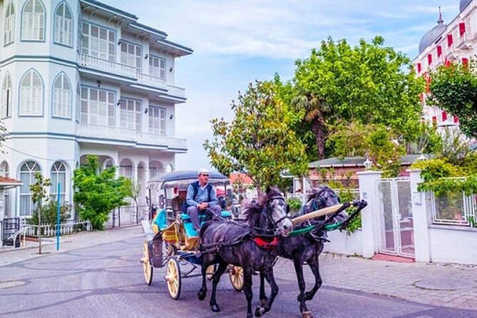 Guided VIP Princes Island Full Day Tour from Istanbul with Lunch - Heybeliada walking tour: pine forests, bays, and quiet villas