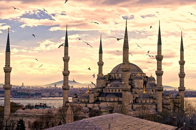 Hagia Sophia & Hippodrome Guided Tours Everyday - Blue Mosque: a quick look with just enough time to appreciate the scale