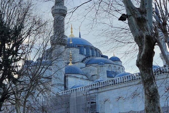 Half-Day Istanbul Tour – Spice Market Visit & Bosphorus Boat Ride - Bosphorus cruise: your payoff with the right kind of perspective