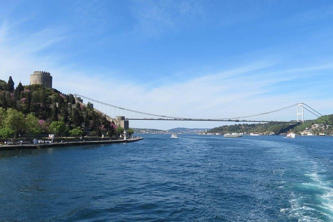 Half Day Morning Bosphorus Cruise & Spice Bazaar visit (Bus and Boat Tour) - Who this tour suits best (and who should choose something else)