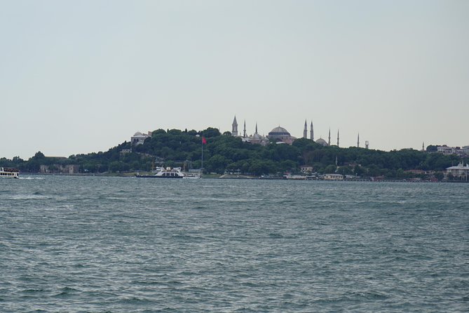 Half Day Morning Bosphorus Cruise & Spice Bazaar visit (Bus and Boat Tour) - The Bosphorus cruise: views of Europe, Asia, and Dolmabahce Palace