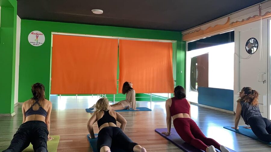 Healthy Istanbul Morning: Yoga and Healthy Turkish Breakfast - Reviews energy check: what seems most loved