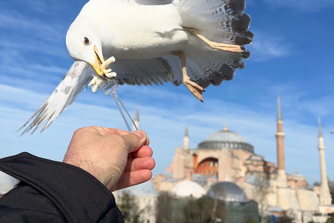 Imperial Traces of Istanbul – Private Guided Signature Tour - Topkapi Palace without the royal-maze panic