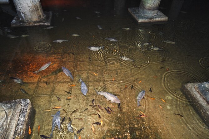 Istanbu City Walk: Topkapi Palace, Harem, & Basilica Guided Tour - Why Topkapi Palace and Basilica Cistern fit together so well