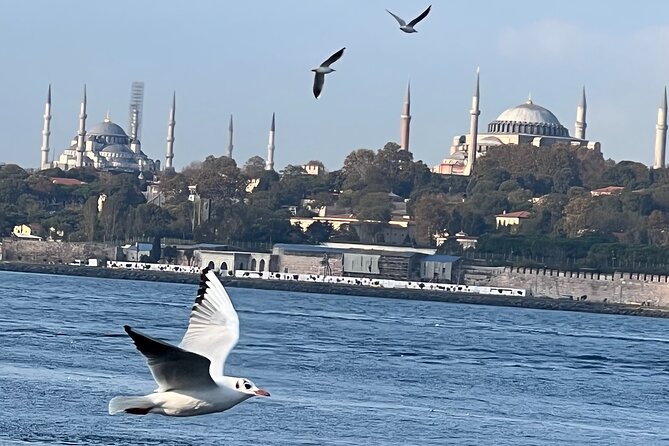 Istanbul Airport or Cruise Ship Private Layover Tour - Eminönü Square: sea views, ferries, and an easy win for a short day