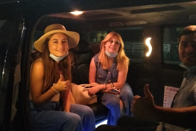 Istanbul Airport Private Arrival Transfer - Driver and vehicle quality: what to watch for