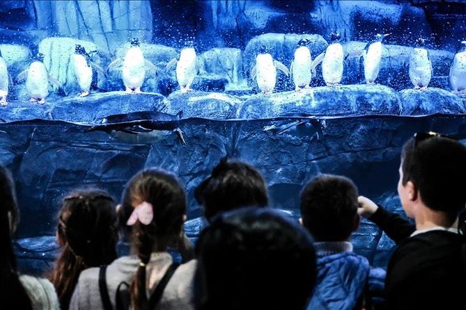 Istanbul Aquarium and Aqua Florya Independent Shopping Trip - Istanbul Aquarium: 16 Aquatic Worlds in a Real Visiting Loop