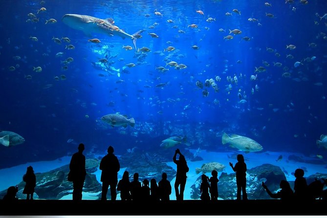 Istanbul Aquarium and Aqua Florya Independent Shopping Trip - Small Group Size and Service Expectations (No Pro Guide Included)