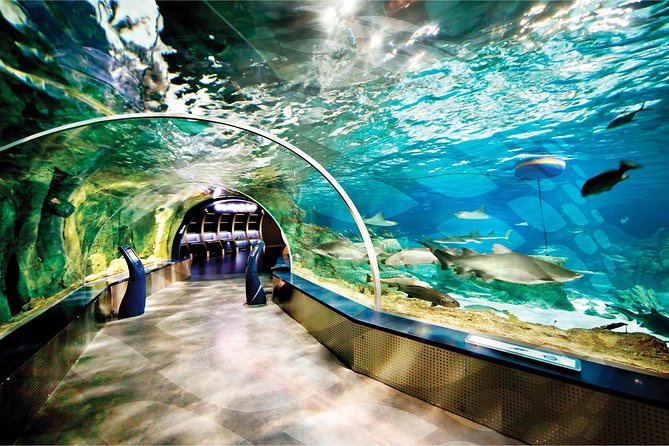 Istanbul Aquarium and Aqua Florya Independent Shopping Trip - Who This Works For in Istanbul