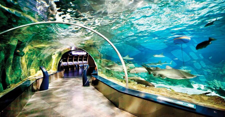 Istanbul Aquarium and Aqua Florya Shopping Mall Tour - Key Things You Should Know Before You Go