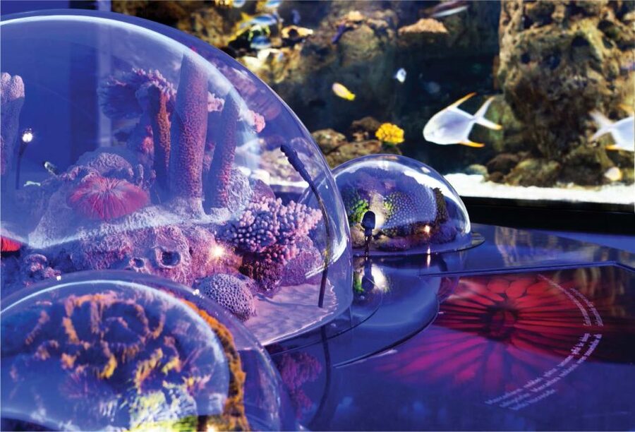 Istanbul Aquarium and Aqua Florya Shopping Mall Tour - Should You Book This Istanbul Aquarium and Aqua Florya Tour?