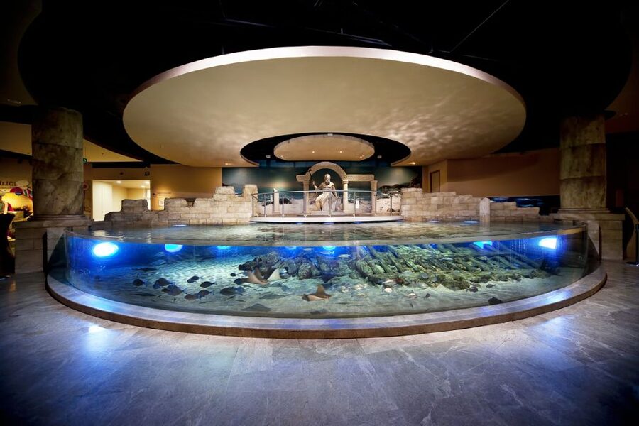 Istanbul Aquarium and Aqua Florya Shopping Mall Tour - Sharks, Stingrays, Penguins, and the Species List That Matters