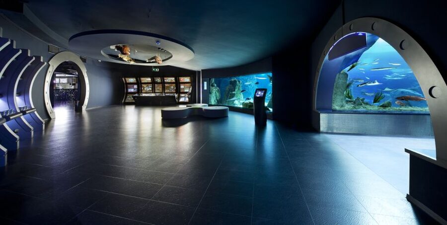 Istanbul Aquarium and Aqua Florya Shopping Mall Tour - 5D Cinema With Fog, Wind, and Water Effects