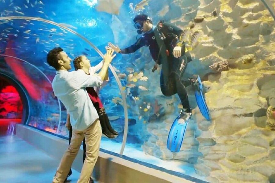 Istanbul Aquarium and Aqua Florya Shopping Mall Tour - Price and Value for $177: What’s Included, What Costs Extra