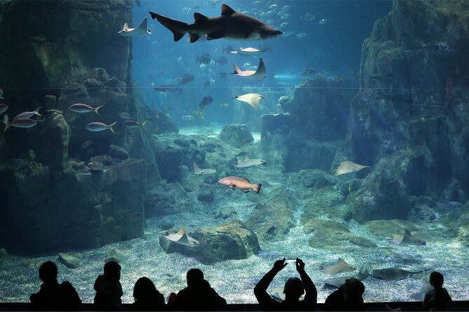 Istanbul Aquarium and Shopping Tour with Hotel Transfers - Key things to know before you go