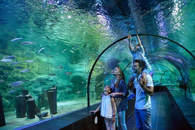 Istanbul Aquarium and Shopping Tour with Hotel Transfers - Inside Istanbul Aquarium: Ocean Tunnel, Rainforest, and 22,000 Square Meters