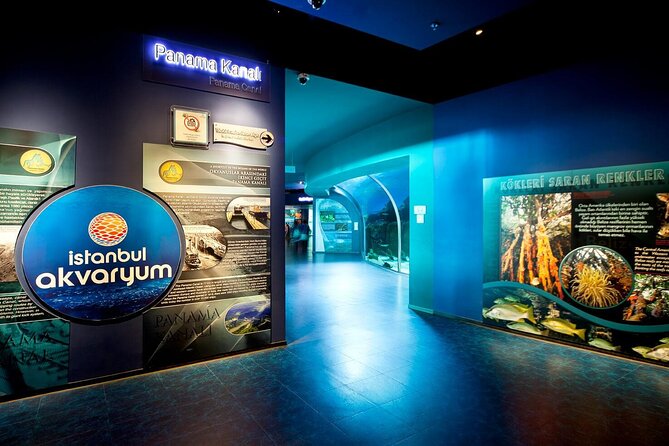 Istanbul Aquarium and Shopping Tour with Hotel Transfers - The Shopping Stop: Turning a Big Aquarium Day Into Souvenir Time