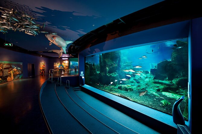 Istanbul Aquarium and Shopping Tour with Hotel Transfers - How the 4 to 8 Hour Timeline Usually Plays Out