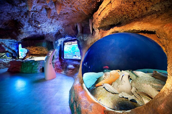 Istanbul Aquarium and Shopping Tour with Hotel Transfers - Who This Tour Fits Best (and Who Might Skip It)
