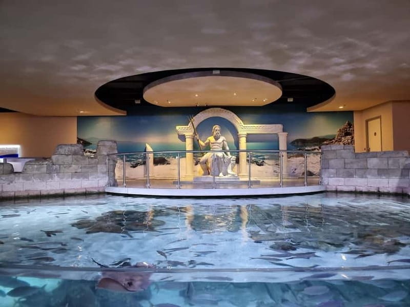 Istanbul: Aquarium Ticket and Round Trip Shuttle from Taksim - How long you should plan inside (and what to do if time runs short)