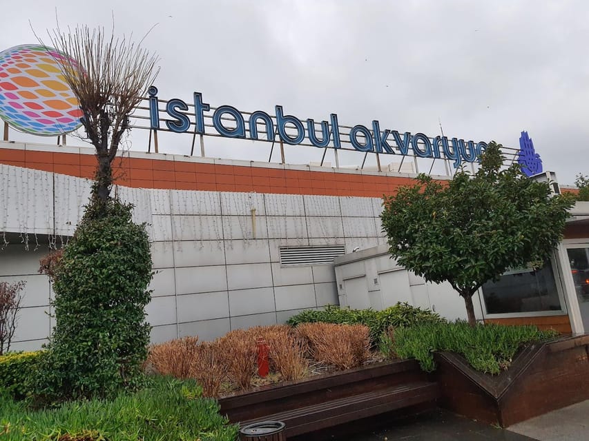 Istanbul: Aquarium Ticket and Round Trip Shuttle from Taksim - Price and value: what you really get for about $33