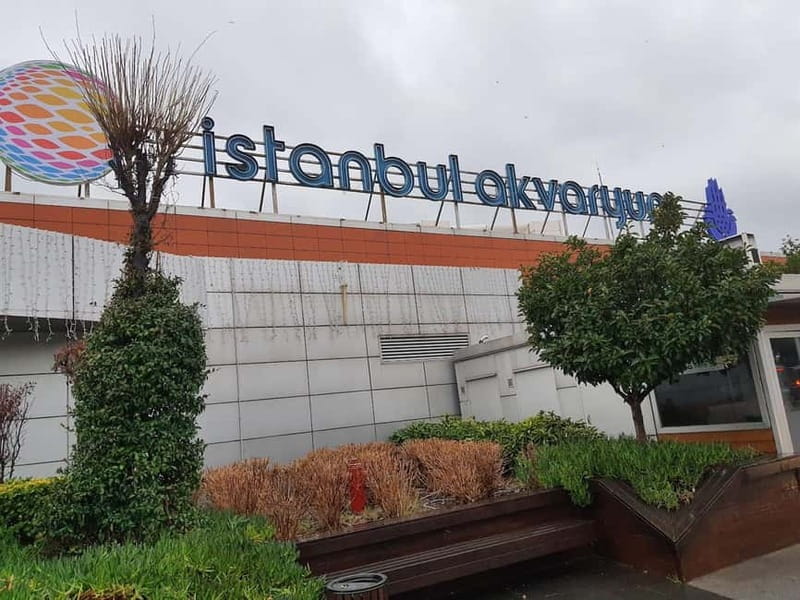 Istanbul: Aquarium Ticket and Round Trip Shuttle from Taksim - Who this experience suits best (and who should think twice)