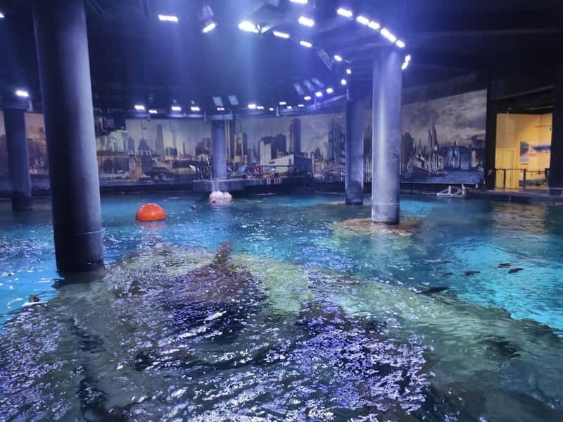 Istanbul: Aquarium Ticket and Round Trip Shuttle from Taksim - Should you book this Istanbul Aquarium shuttle ticket?