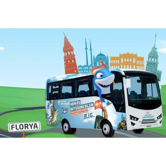 Istanbul: Aquarium Ticket with Shuttle Bus from Sultanahmet - Key highlights you’ll actually notice