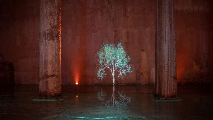 Istanbul: Basilica Cistern Skip-the-Ticket-Line Guided Tour - Should You Book This Basilica Cistern Skip-the-Ticket-Line Tour?