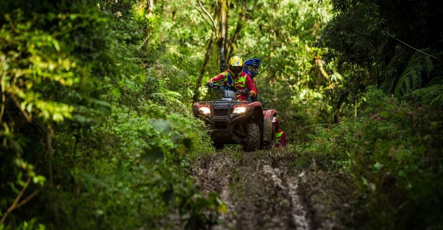 Istanbul: Belgrad Forest ATV Tour with Ziplining Option - Belgrad Forest ATV: the 3-hour thrill ride in plain terms