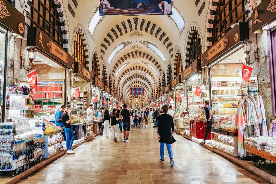 Istanbul: Best of the City 1, 2 or 3-Day Private Guided Tour - Why a private guide helps you see Istanbul without the scramble