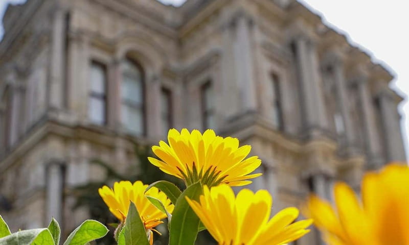 Istanbul: Beylerbeyi Palace Skip-the-Line Ticket & Audio … - The audio guide: great for independence, not a substitute for a live docent