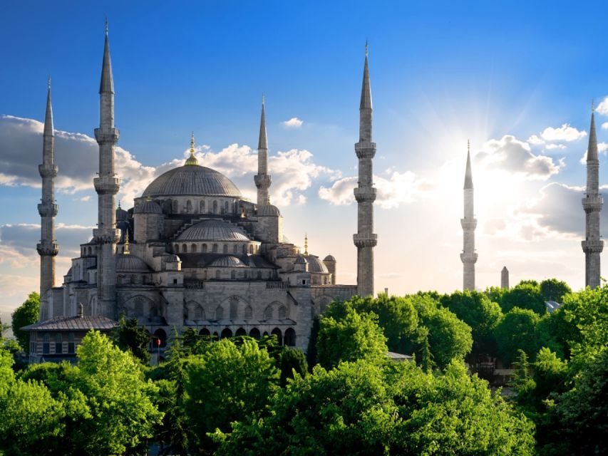 Istanbul: Blue Mosque Guided Tour - Waiting and crowds: manage the reality, not just the plan