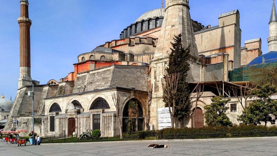 Istanbul: Blue Mosque & Hagia Sophia Guided Tour w/ Tickets - Sultan Ahmed Mosque (Blue Mosque): what to watch for inside